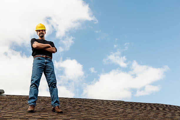 Best Roof Gutter Cleaning  in Lorton, VA